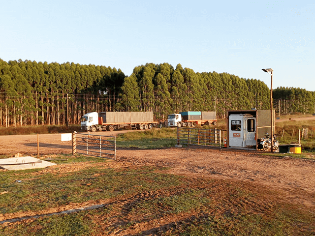 Barcazas de transporte logístico de equipo pesado autopropulsadas de 200t para río/lago 